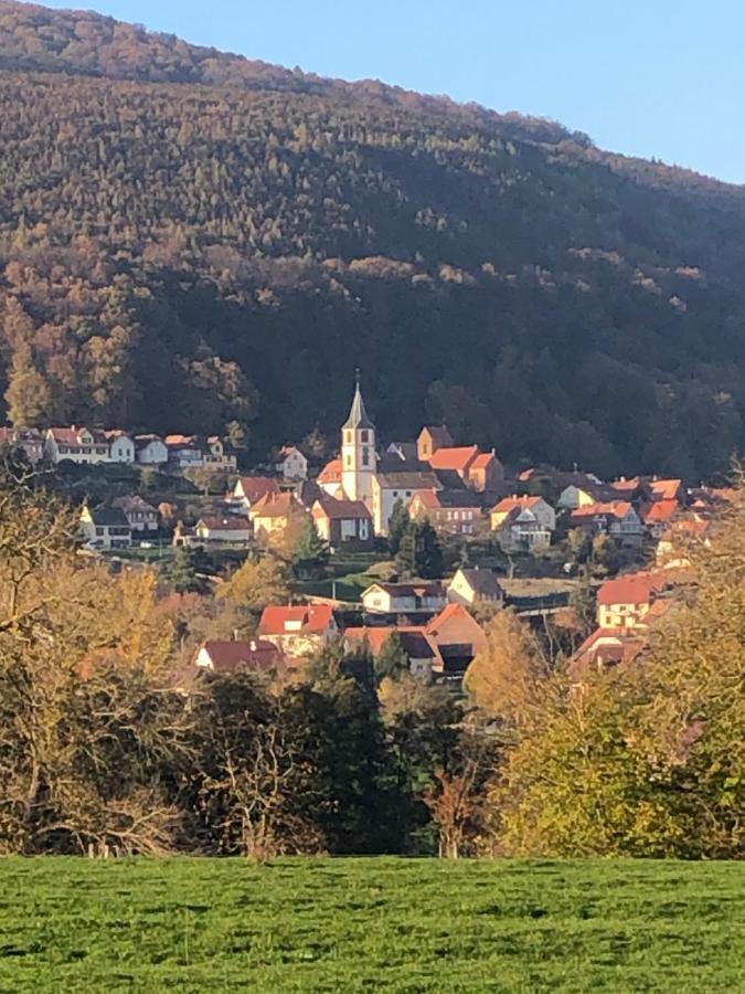 Gite L'Instant Durable Oberbronn Dış mekan fotoğraf