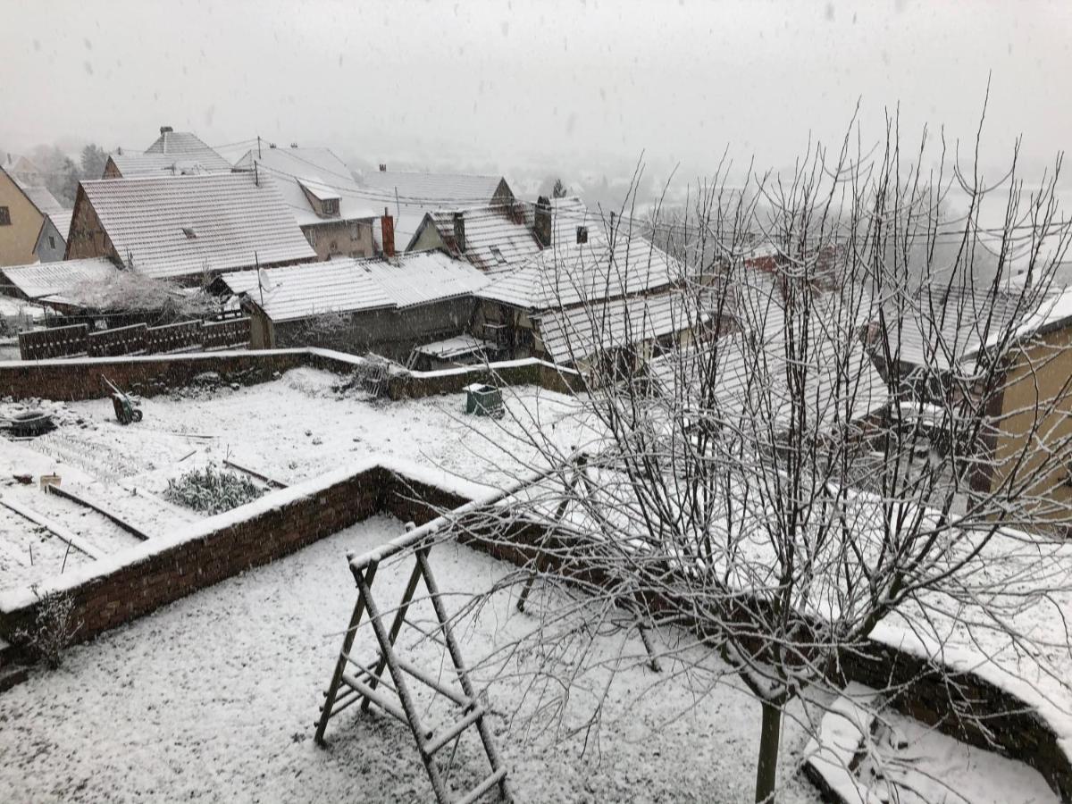 Gite L'Instant Durable Oberbronn Dış mekan fotoğraf